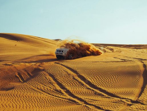 abdul-haseeb-m-m-oxrg3b981Q8-unsplash (1)